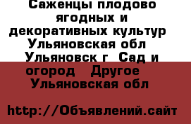 Саженцы плодово-ягодных и декоративных культур - Ульяновская обл., Ульяновск г. Сад и огород » Другое   . Ульяновская обл.